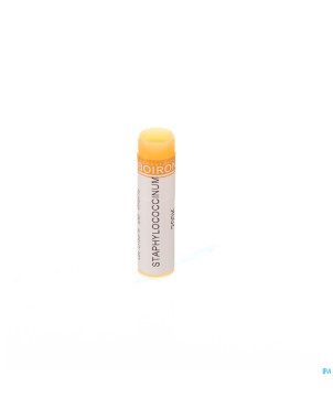 Staphylococcinum    200k gl boiron