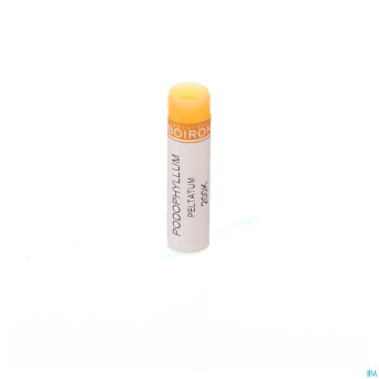 Podophyllum peltatum   200k gl boiron