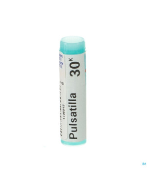 Pulsatilla    30k gl boiron