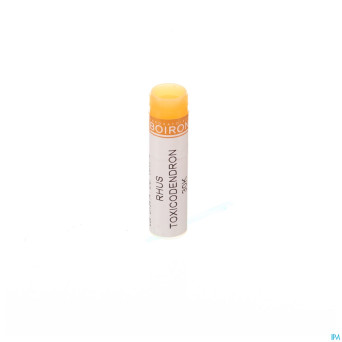 Rhus toxicodendron    30k gl boiron