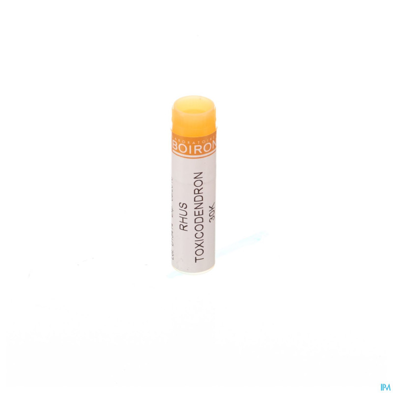 Rhus toxicodendron    30k gl boiron