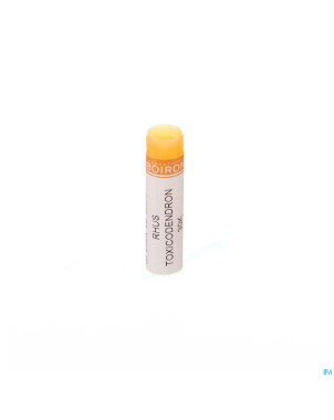 Rhus toxicodendron    30k gl boiron