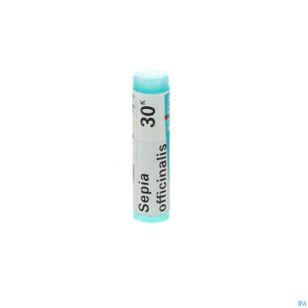 Sepia officinalis    30k gl boiron