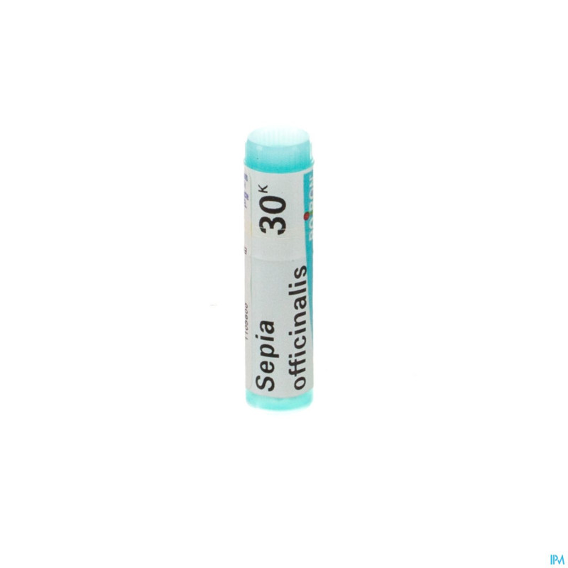 Sepia officinalis    30k gl boiron