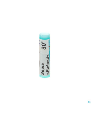 Sepia officinalis    30k gl boiron