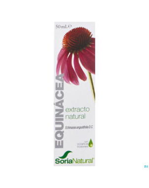 Soria echinacea angustifolia    extr.glyc 50ml