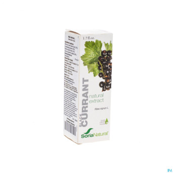 Soria ribes nigrum    extr.glyc 50ml