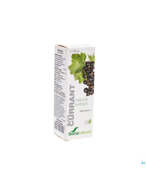 Soria ribes nigrum    extr.glyc 50ml