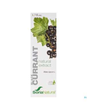Soria ribes nigrum    extr.glyc 50ml