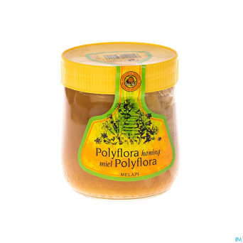 Melapi miel polyflora tendre    500g 5531 revogan