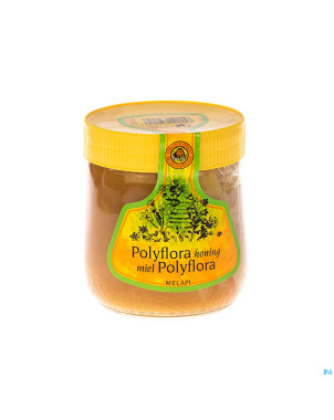 Melapi miel polyflora tendre    500g 5531 revogan