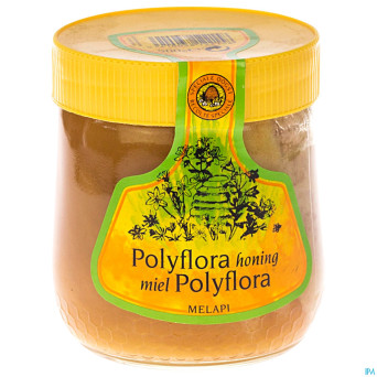 Melapi miel polyflora tendre    500g 5531 revogan