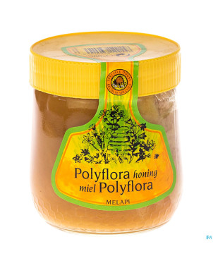 Melapi miel polyflora tendre    500g 5531 revogan