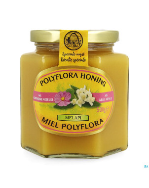 Melapi polyflora+gelee royale    500g 5534 revogan
