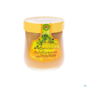 Melapi polyflora+gelee royale    500g 5534 revogan