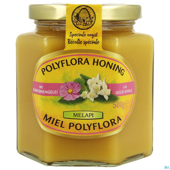 Melapi polyflora+gelee royale    500g 5534 revogan