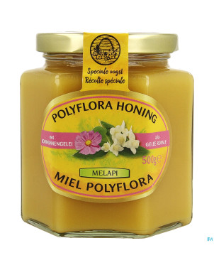 Melapi polyflora+gelee royale    500g 5534 revogan