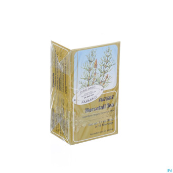 Floradix prele filtre the    15x2,0g