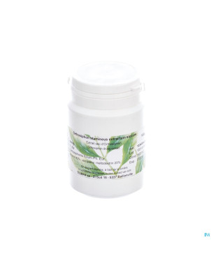 Tilman orthosiphon extr.sec neb100g