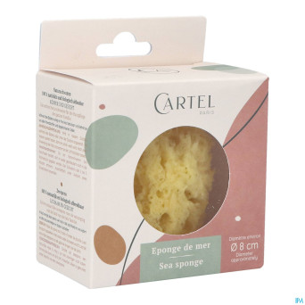 Cartel eponge de mer  8cm    5640