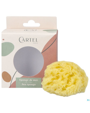 Cartel eponge de mer  8cm    5640
