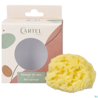 Cartel eponge de mer  8cm    5640