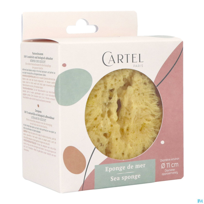 Cartel eponge de mer 11cm    5641