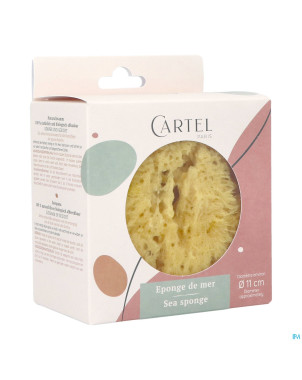 Cartel eponge de mer 11cm    5641