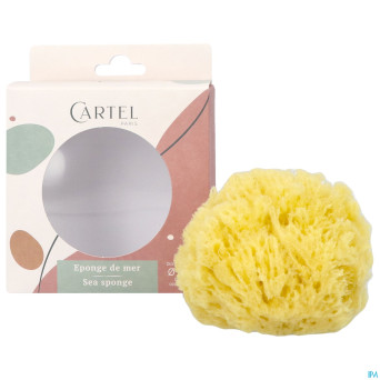 Cartel eponge de mer 11cm    5641