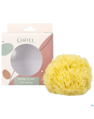 Cartel eponge de mer 11cm    5641