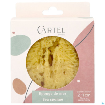 Cartel eponge de mer 11cm    5641