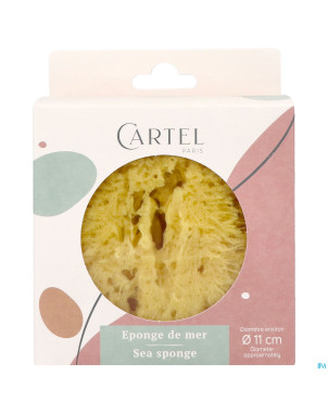 Cartel eponge de mer 11cm    5641