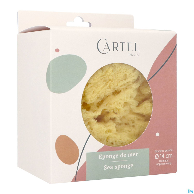 Cartel eponge de mer 14cm    5642