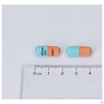 Cellcept 250mg caps 3x100