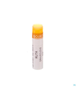 Ruta graveolens    1mk gl boiron