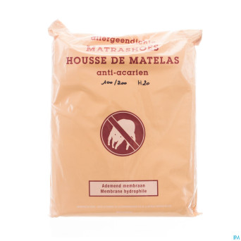 Amp housse anti acarien   100x200x20cm