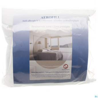 Amp oreiller + housse    60x60cm