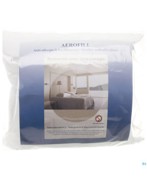 Amp oreiller + housse    60x60cm