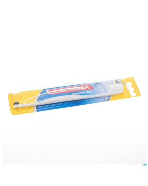 Lactona brosse iq medium