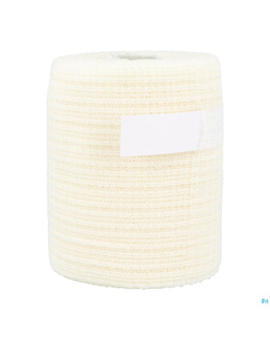 Mollelast haft bande elast adh    10cmx20m 30071