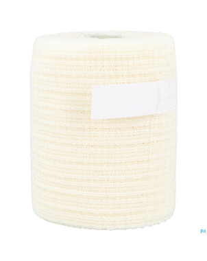 Mollelast haft bande elast adh    10cmx20m 30071