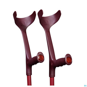 Bota canne-bequille alu aubergine