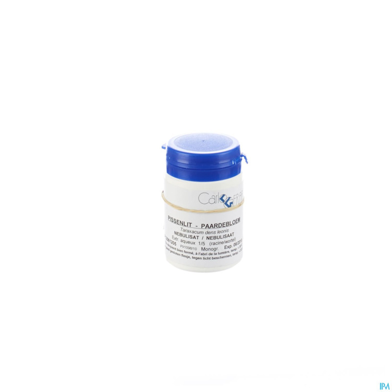 Pissenlit nebulisat    25g carlo