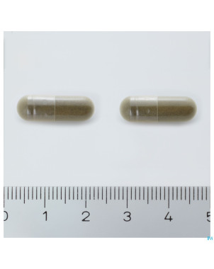 Arkogelules ginkgo biloba vegetal    45