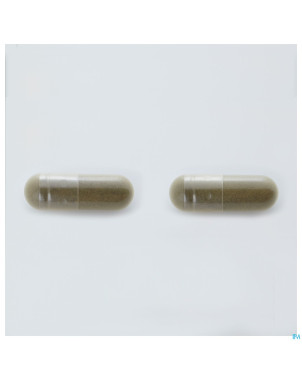 Arkogelules ginkgo biloba vegetal    45