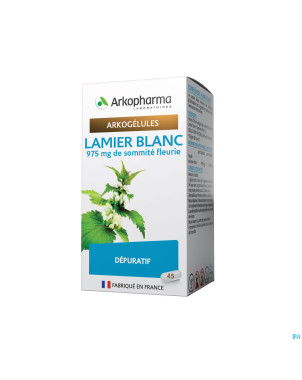 Arkogelules lamier blanc vegetal    45