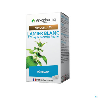 Arkogelules lamier blanc vegetal    45