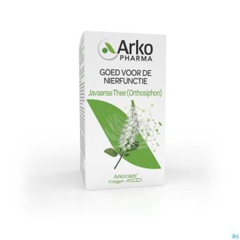 Arkogelules orthosiphon vegetal    45