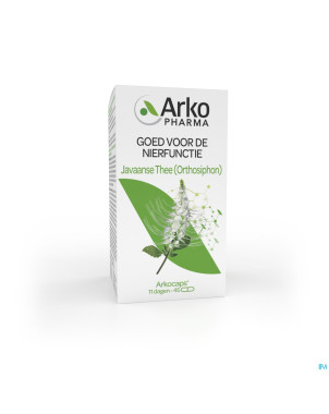 Arkogelules orthosiphon vegetal    45