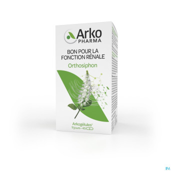 Arkogelules orthosiphon vegetal    45